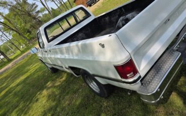 Chevrolet-C-10-1981-10