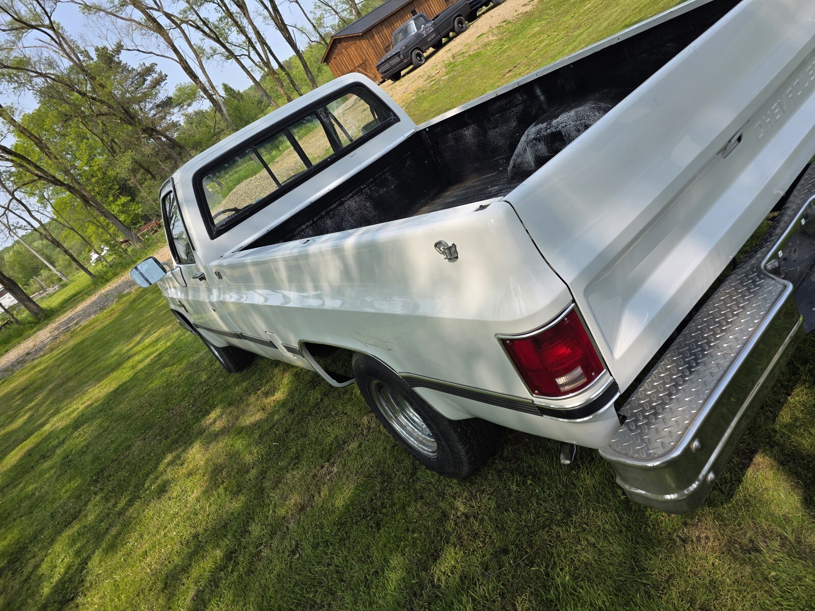 Chevrolet-C-10-1981-10