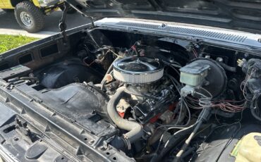 Chevrolet-C-10-1981-11