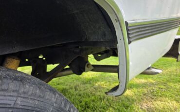 Chevrolet-C-10-1981-12