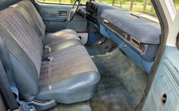 Chevrolet-C-10-1981-17