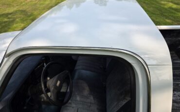 Chevrolet-C-10-1981-18