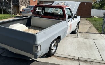 Chevrolet-C-10-1981-2