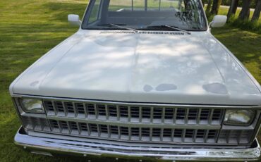 Chevrolet-C-10-1981-2