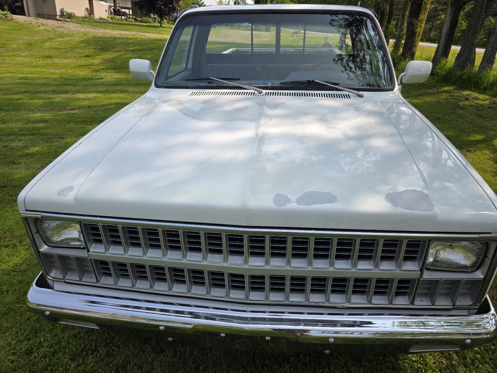 Chevrolet-C-10-1981-2