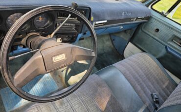 Chevrolet-C-10-1981-22