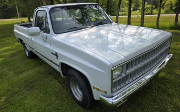 Chevrolet-C-10-1981-3
