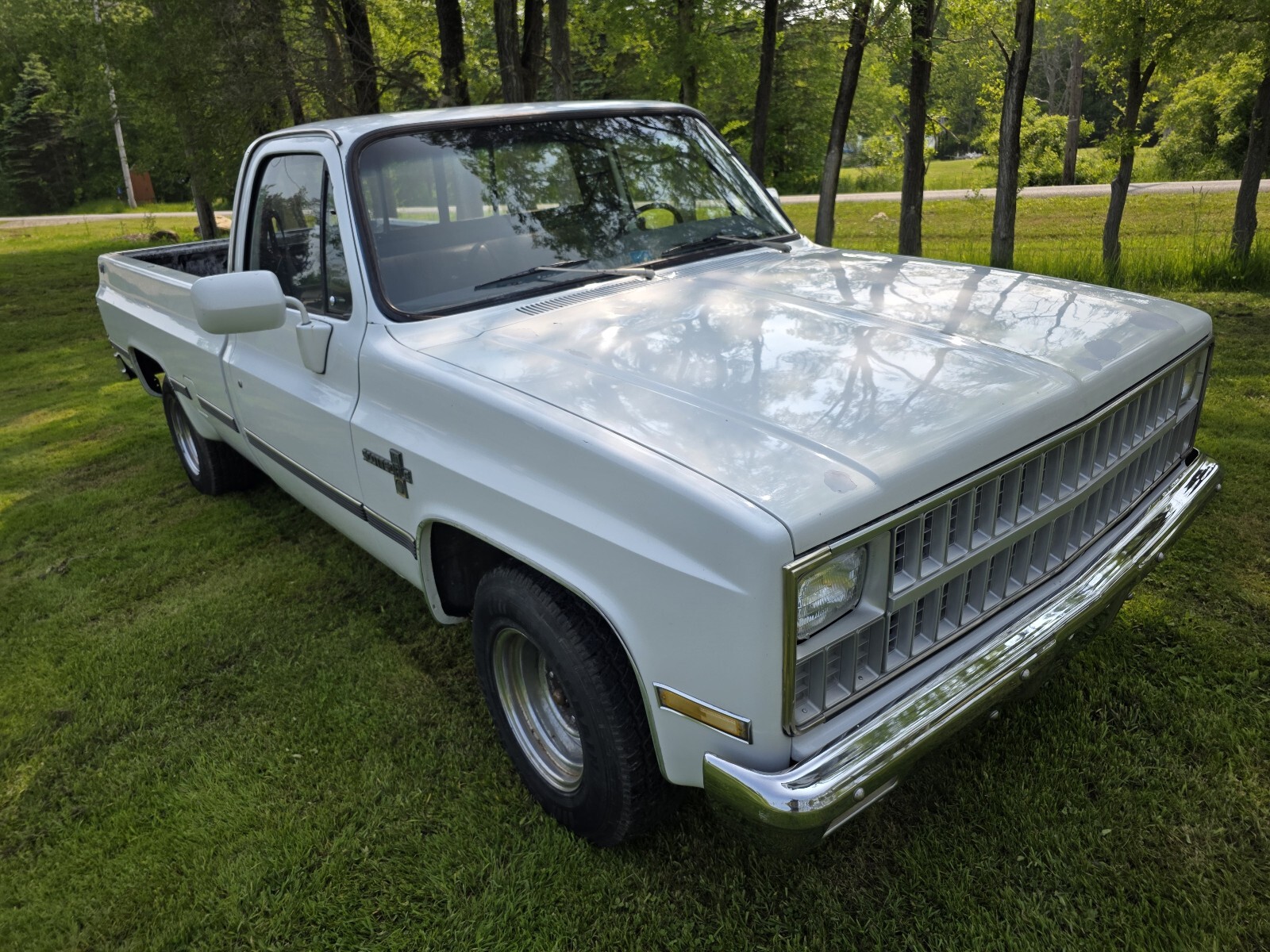 Chevrolet-C-10-1981-3