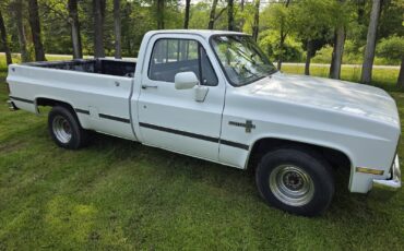 Chevrolet-C-10-1981