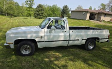 Chevrolet-C-10-1981-4