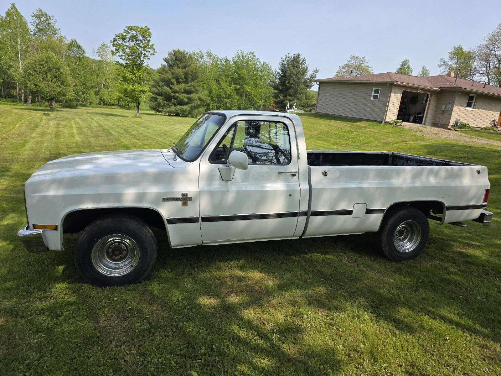 Chevrolet-C-10-1981-4