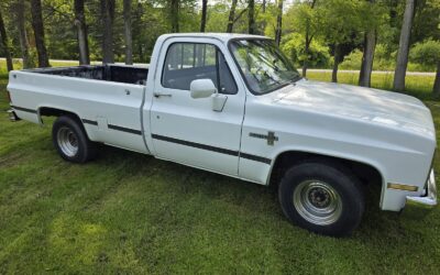 Chevrolet C-10 1981