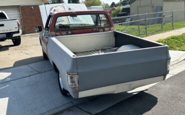 Chevrolet-C-10-1981-5