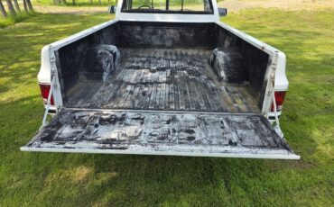 Chevrolet-C-10-1981-6