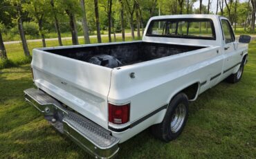 Chevrolet-C-10-1981-7