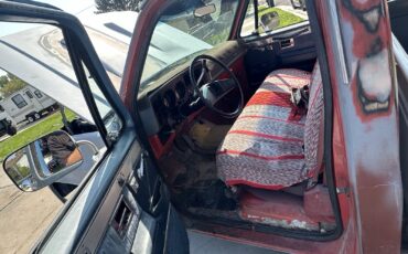 Chevrolet-C-10-1981-9