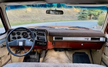 Chevrolet-C-10-1982-10