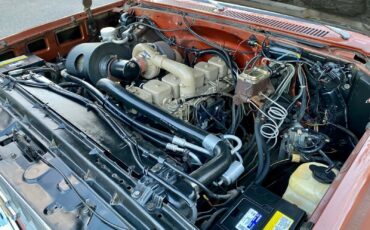 Chevrolet-C-10-1982-13