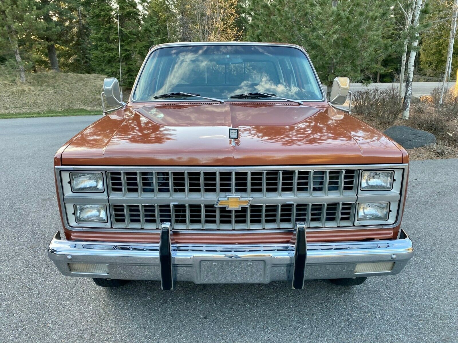 Chevrolet-C-10-1982-2