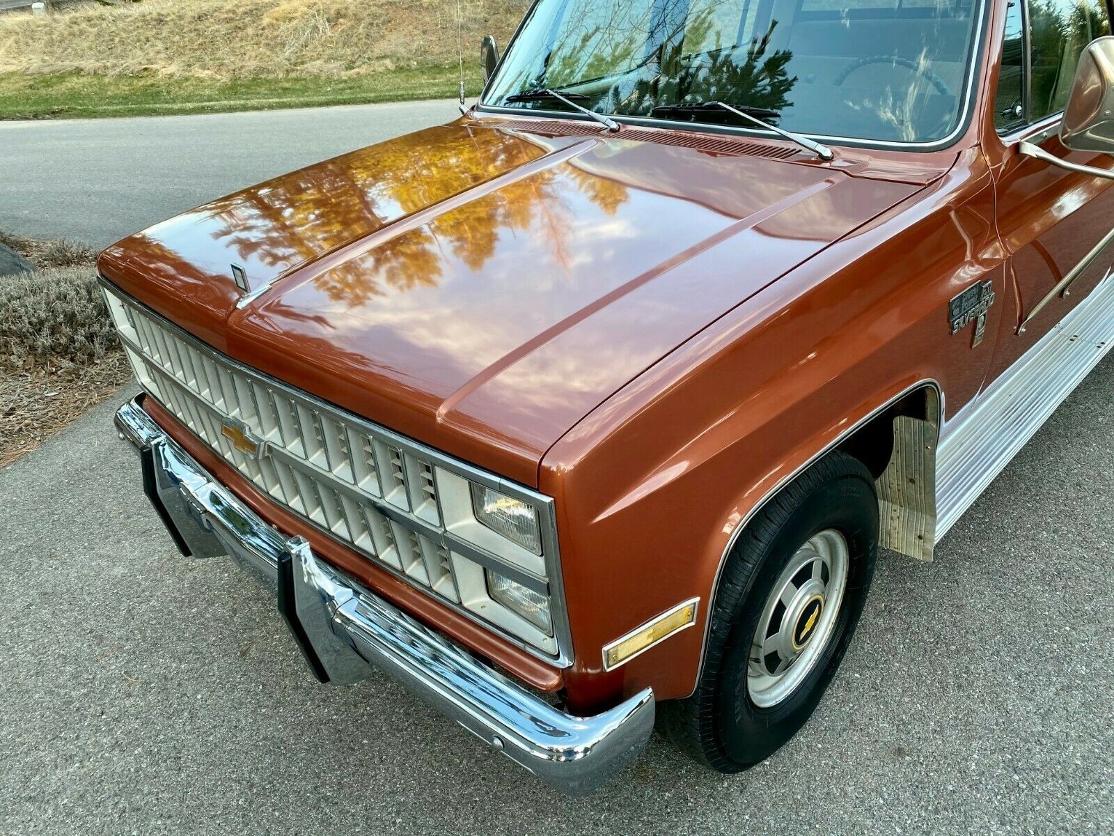 Chevrolet-C-10-1982-3