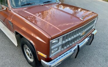 Chevrolet-C-10-1982-4