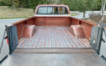 Chevrolet-C-10-1982-8