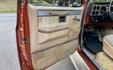 Chevrolet-C-10-1982-9
