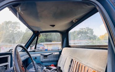 Chevrolet-C-10-1983-13