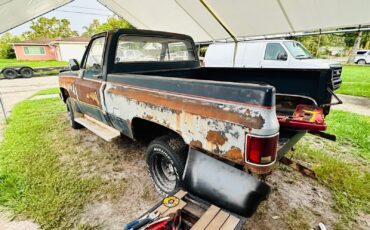 Chevrolet-C-10-1983-15