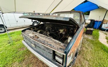 Chevrolet-C-10-1983-21