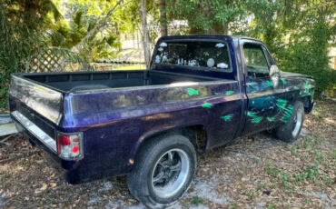 Chevrolet-C-10-1983-24
