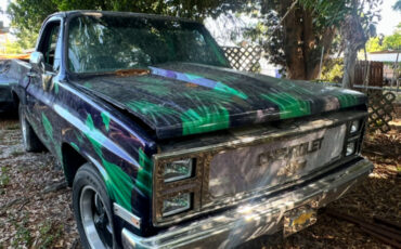 Chevrolet-C-10-1983-25