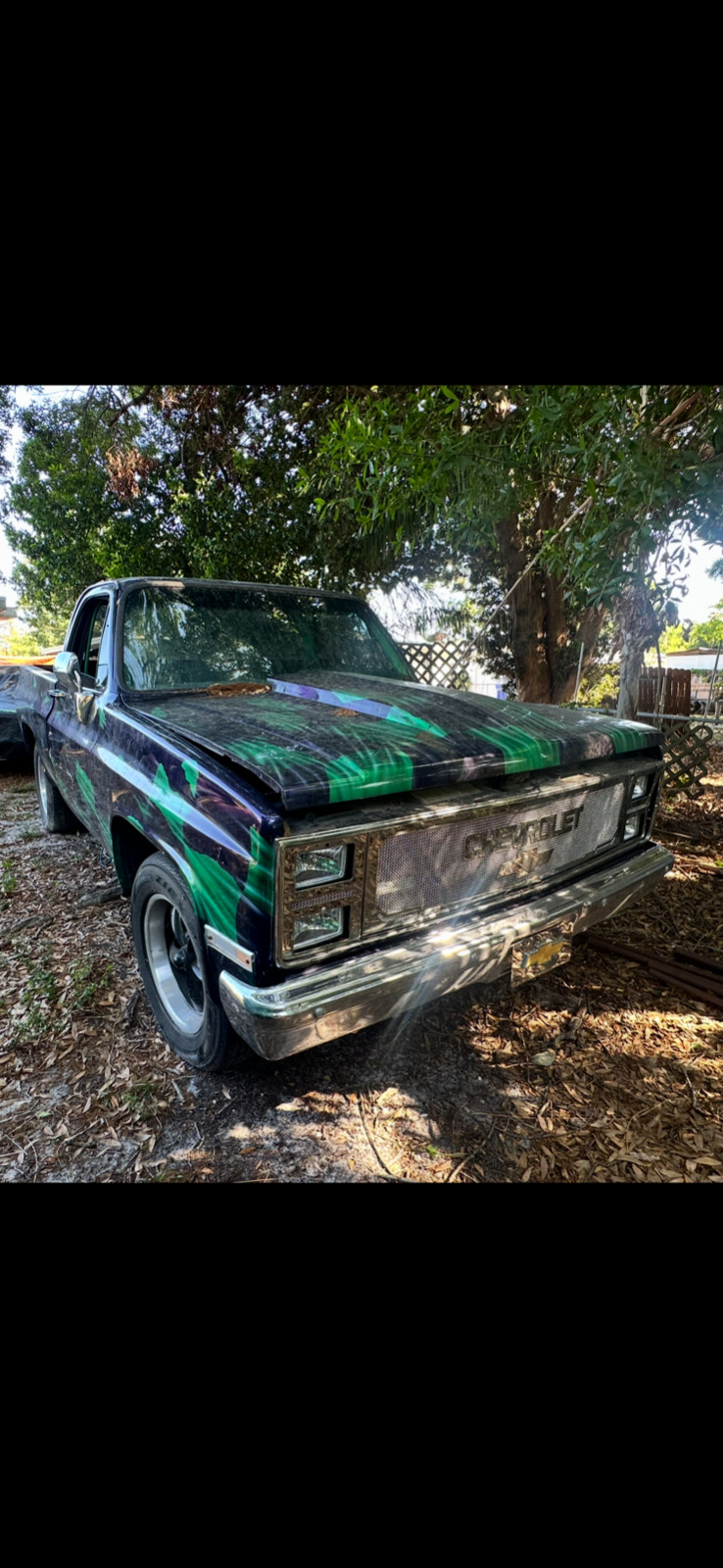 Chevrolet-C-10-1983-25