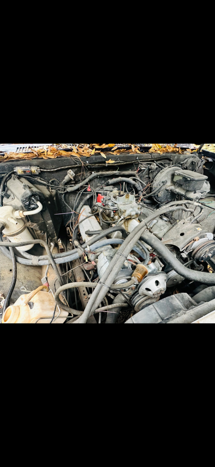 Chevrolet-C-10-1983-26