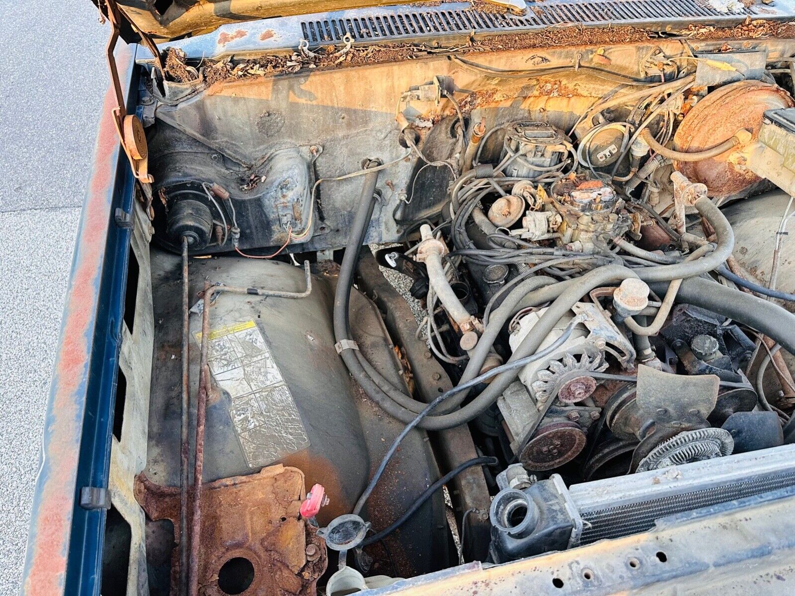 Chevrolet-C-10-1983-7