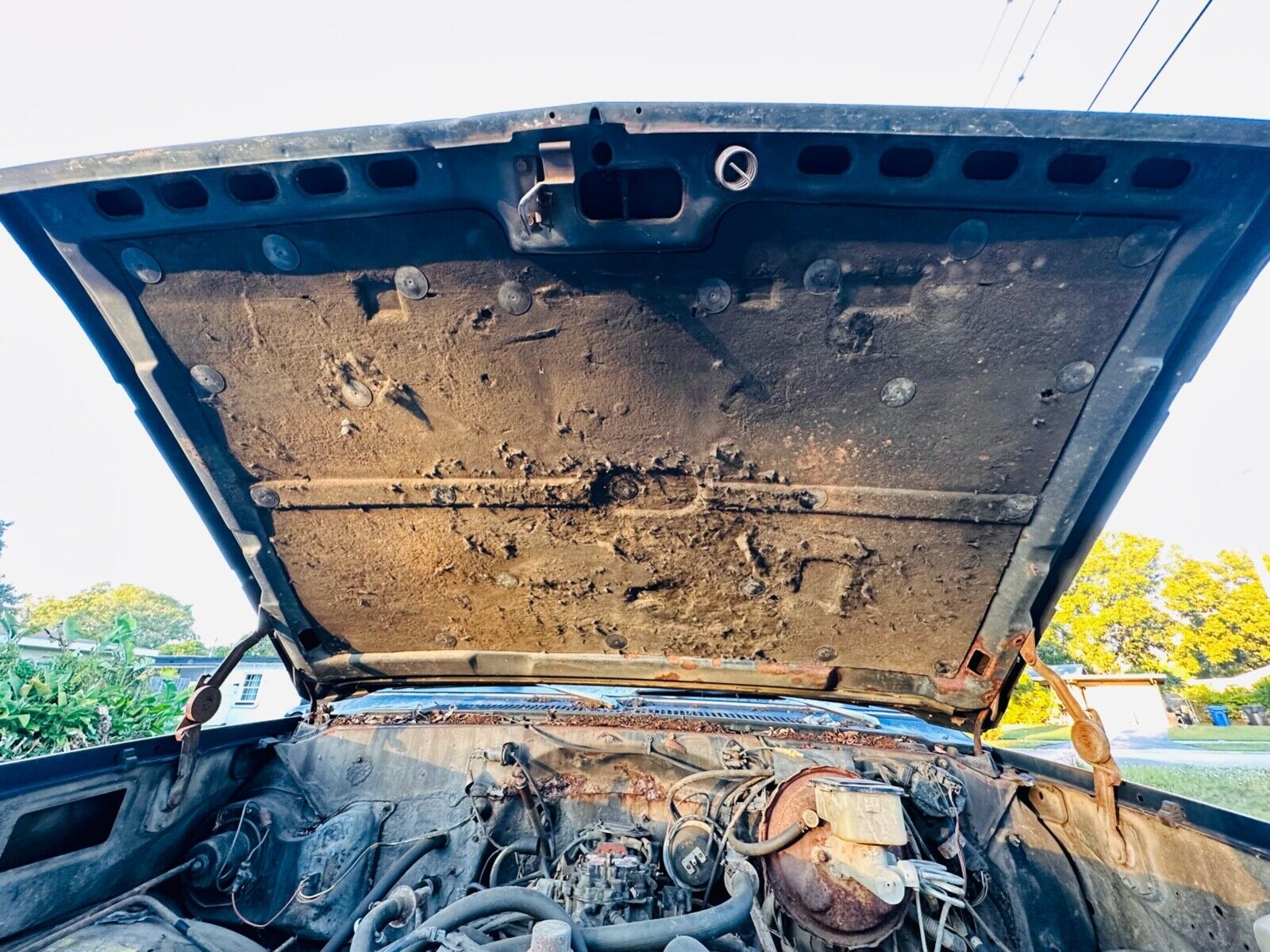 Chevrolet-C-10-1983-9