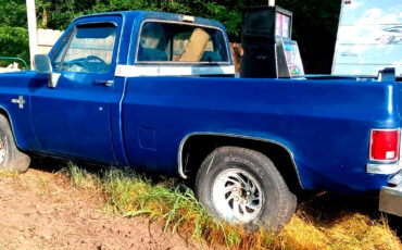Chevrolet-C-10-1983-Standard-Cab-Pickup-1