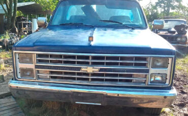 Chevrolet-C-10-1983-Standard-Cab-Pickup-2