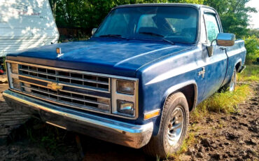 Chevrolet-C-10-1983-Standard-Cab-Pickup