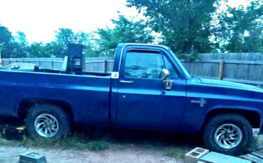 Chevrolet-C-10-1983-Standard-Cab-Pickup-4