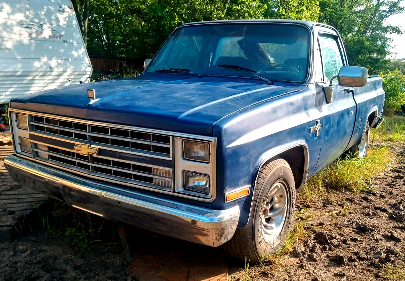 Chevrolet C-10 1983 Standard Cab Pickup