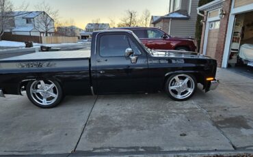 Chevrolet-C-10-1984-13