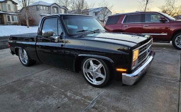 Chevrolet-C-10-1984-15