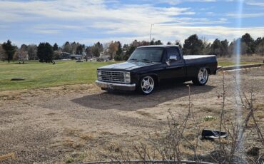 Chevrolet-C-10-1984-2