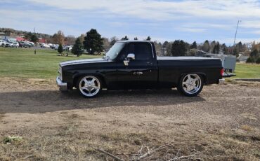 Chevrolet-C-10-1984-3