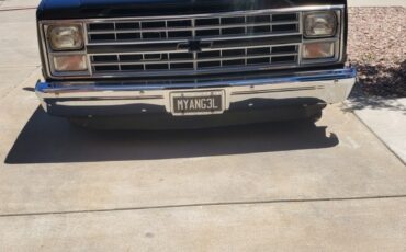 Chevrolet-C-10-1984-34