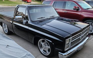 Chevrolet-C-10-1984-8