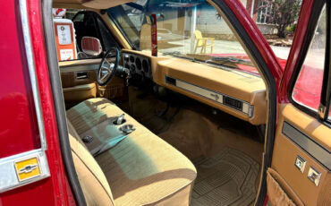 Chevrolet-C-10-1984-Truck-21