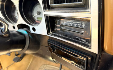 Chevrolet-C-10-1984-Truck-34
