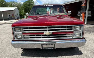 Chevrolet-C-10-1984-Truck-6